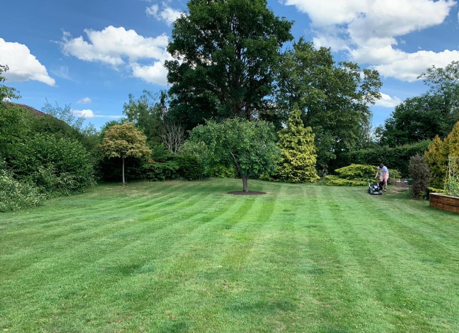 The Cottage Get Away Saffron Walden Bagian luar foto